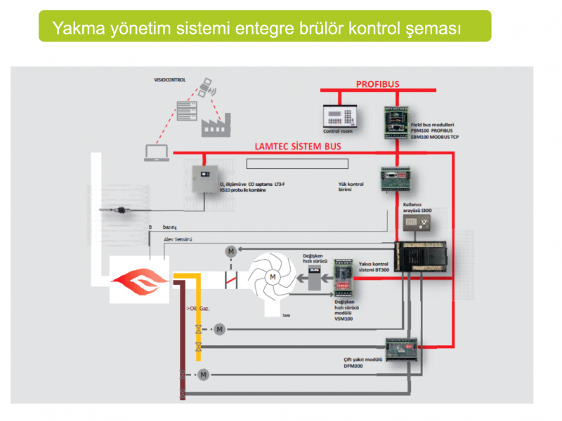 O2-CO Burner Management System